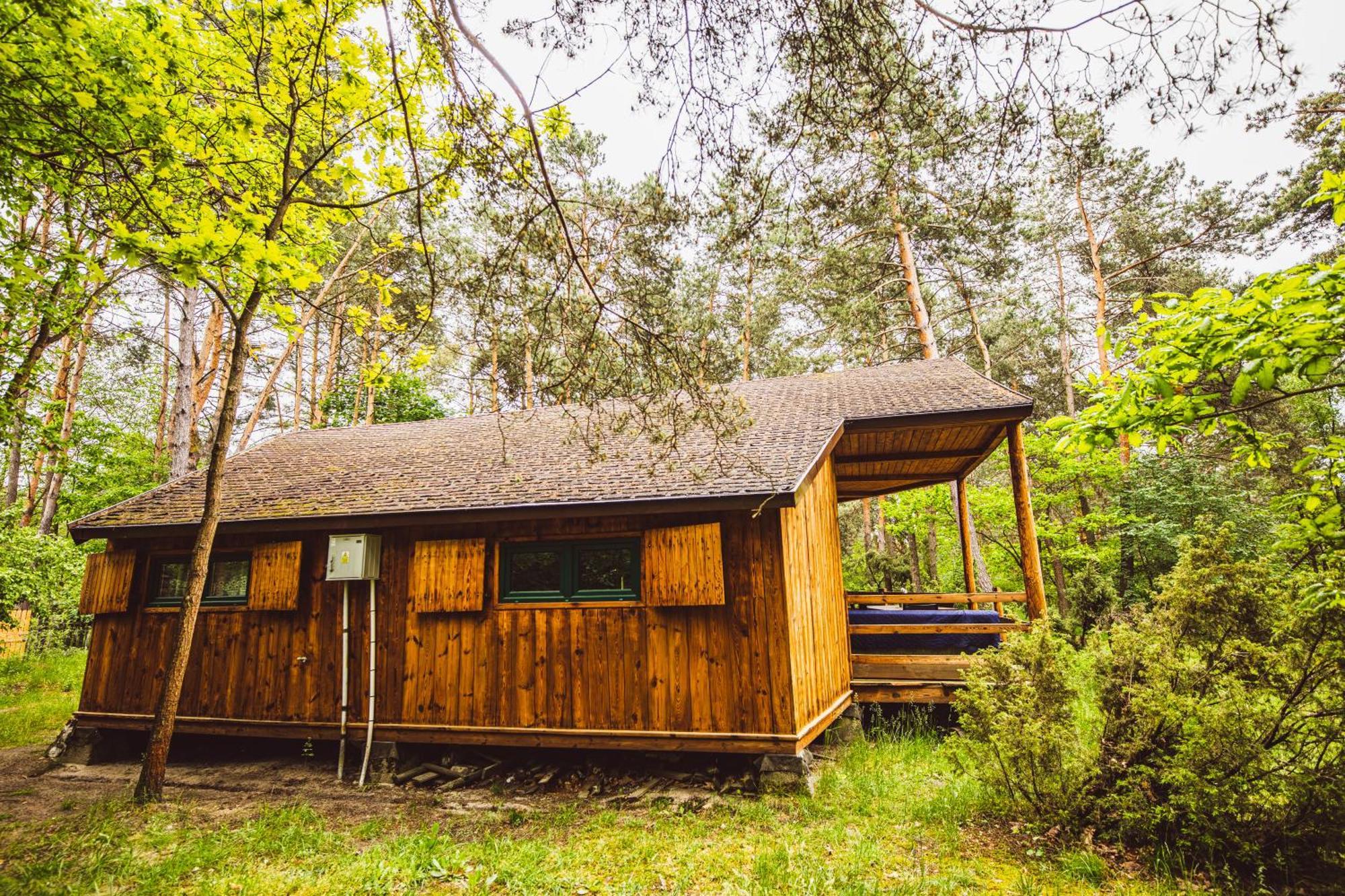 Cozy Nature Retreat With Patio Fireplace Garden Maciejowice Exteriör bild