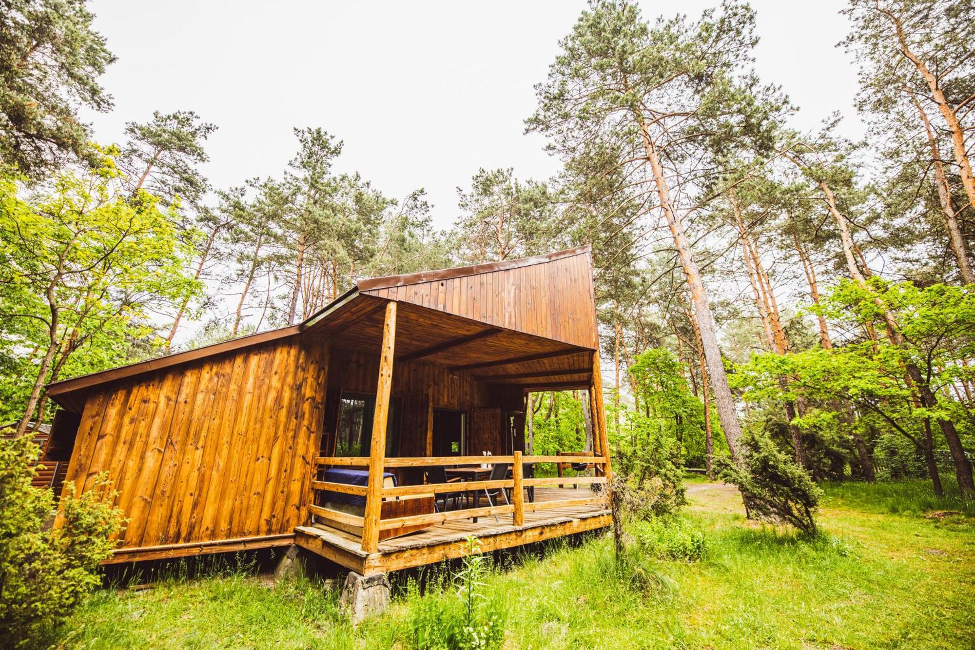 Cozy Nature Retreat With Patio Fireplace Garden Maciejowice Exteriör bild