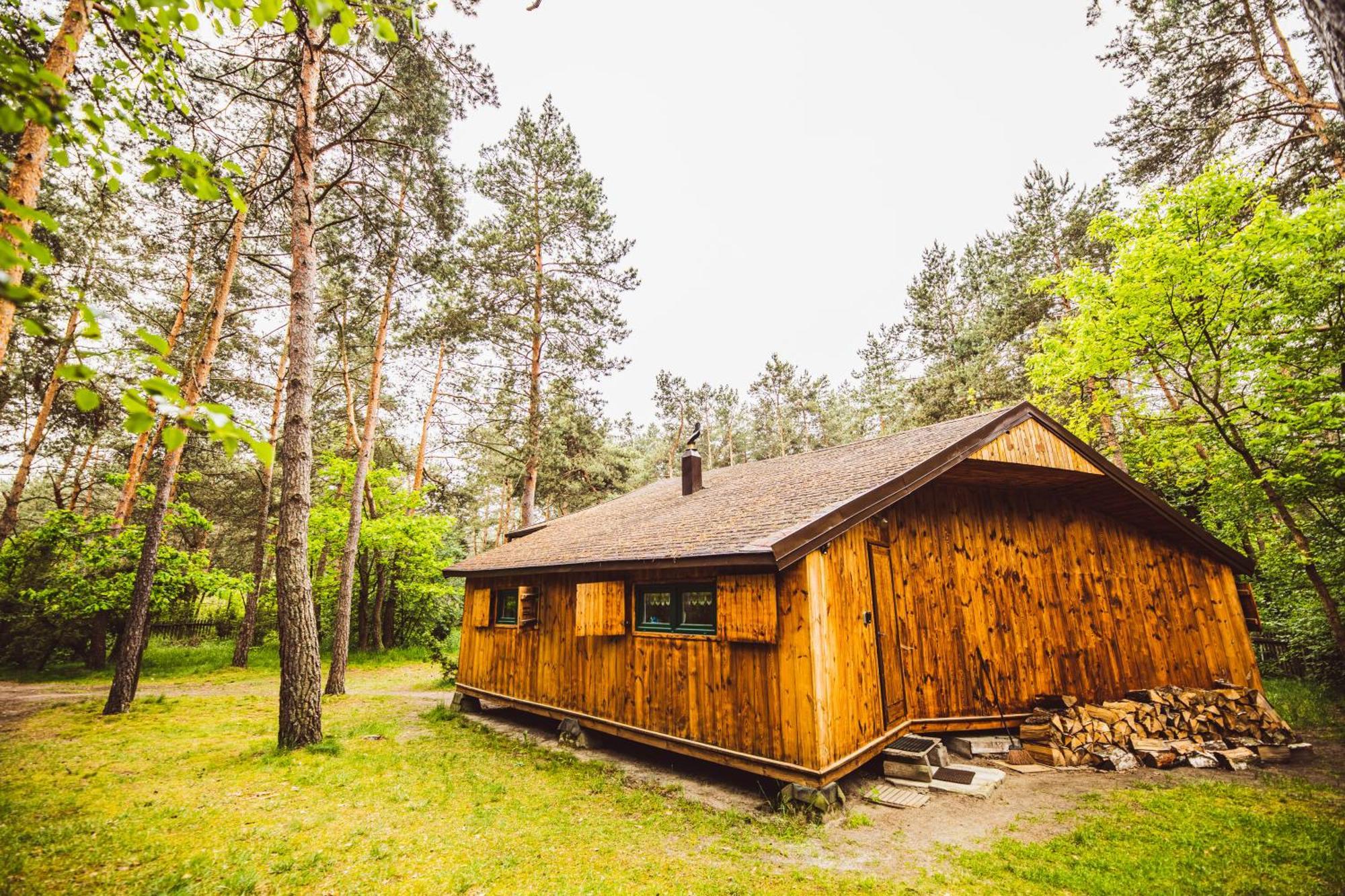 Cozy Nature Retreat With Patio Fireplace Garden Maciejowice Exteriör bild