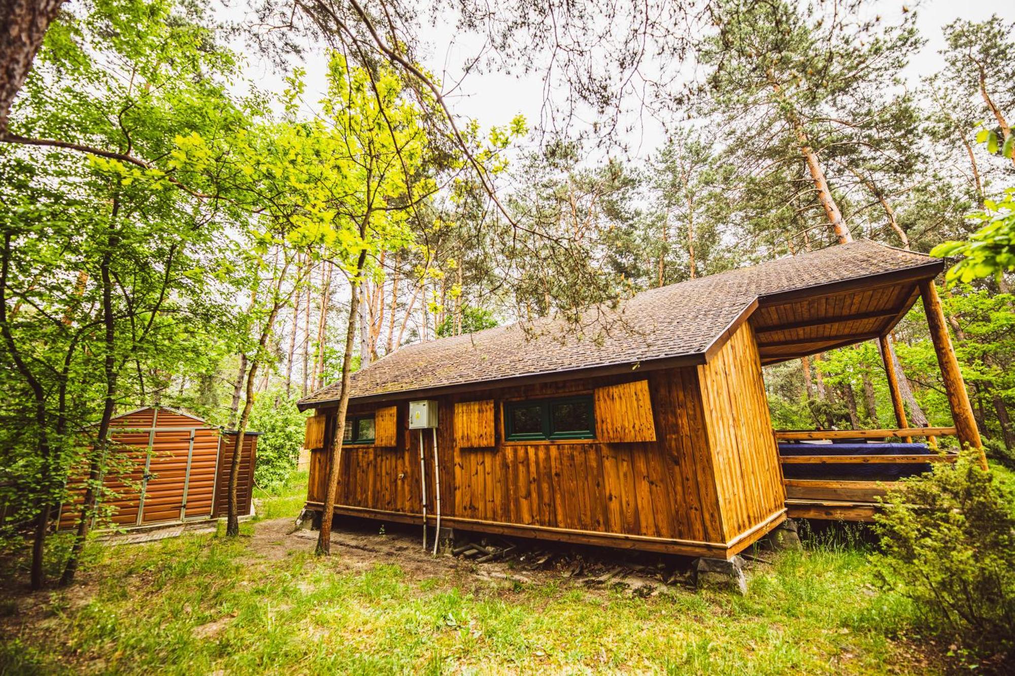 Cozy Nature Retreat With Patio Fireplace Garden Maciejowice Exteriör bild