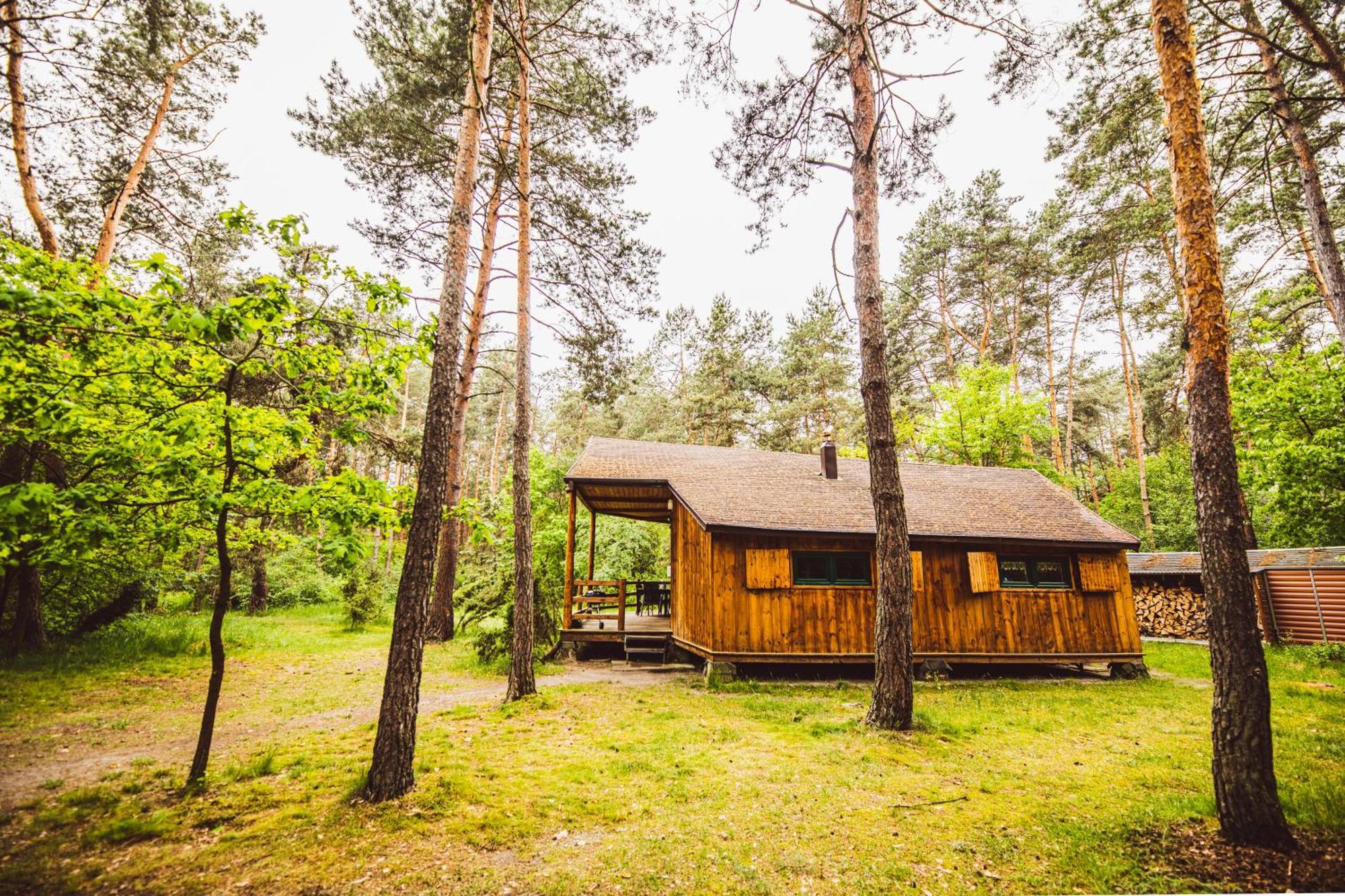Cozy Nature Retreat With Patio Fireplace Garden Maciejowice Exteriör bild