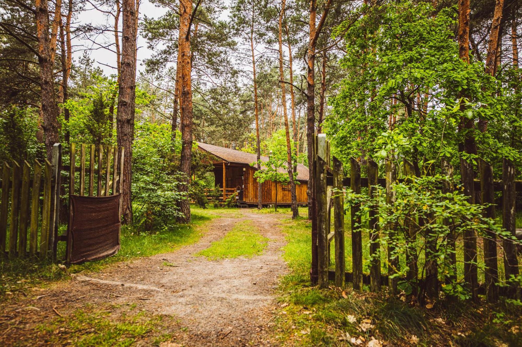 Cozy Nature Retreat With Patio Fireplace Garden Maciejowice Exteriör bild