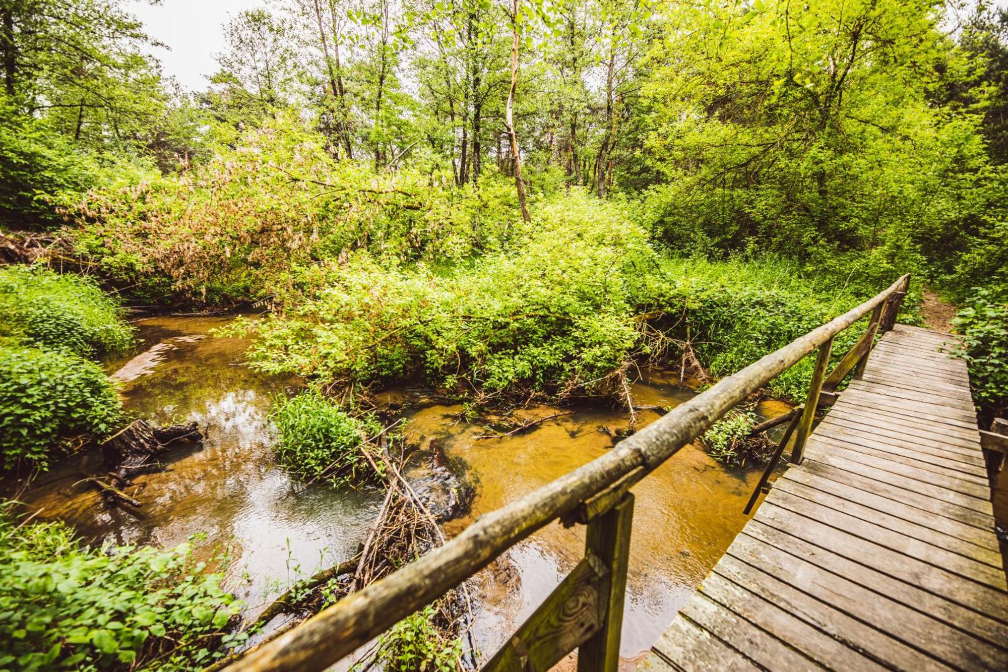 Cozy Nature Retreat With Patio Fireplace Garden Maciejowice Exteriör bild