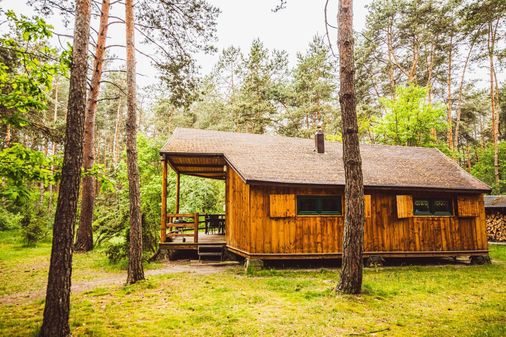Cozy Nature Retreat With Patio Fireplace Garden Maciejowice Exteriör bild