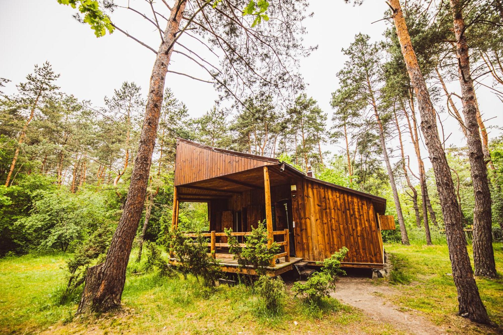 Cozy Nature Retreat With Patio Fireplace Garden Maciejowice Exteriör bild