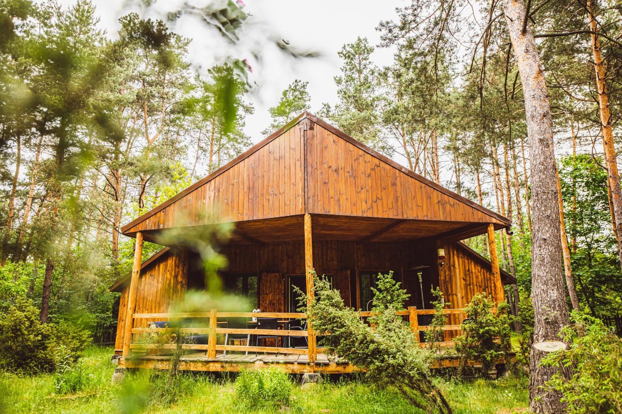 Cozy Nature Retreat With Patio Fireplace Garden Maciejowice Exteriör bild