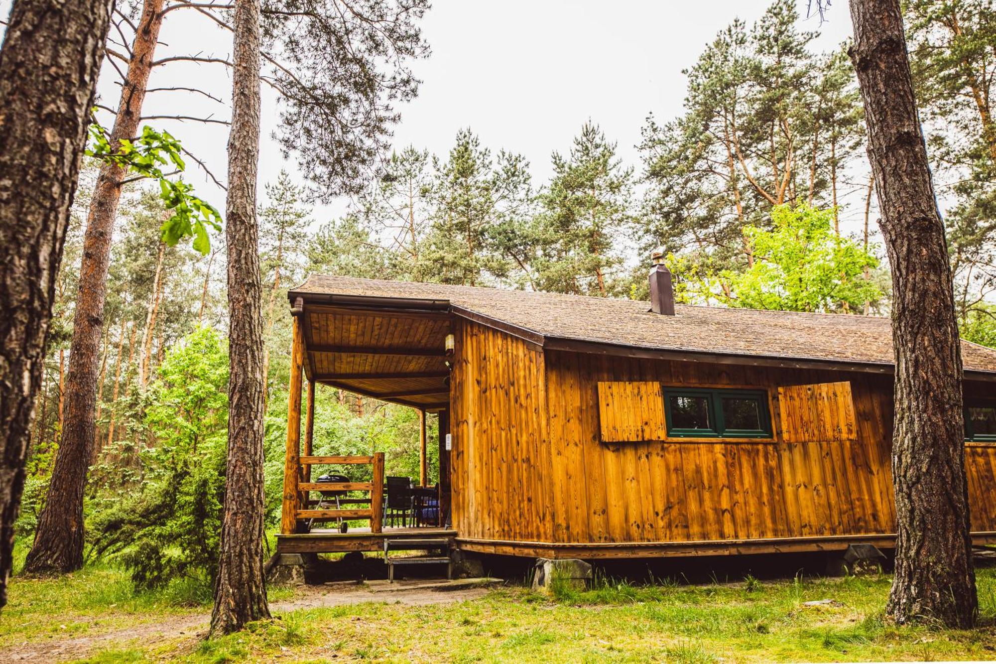 Cozy Nature Retreat With Patio Fireplace Garden Maciejowice Exteriör bild
