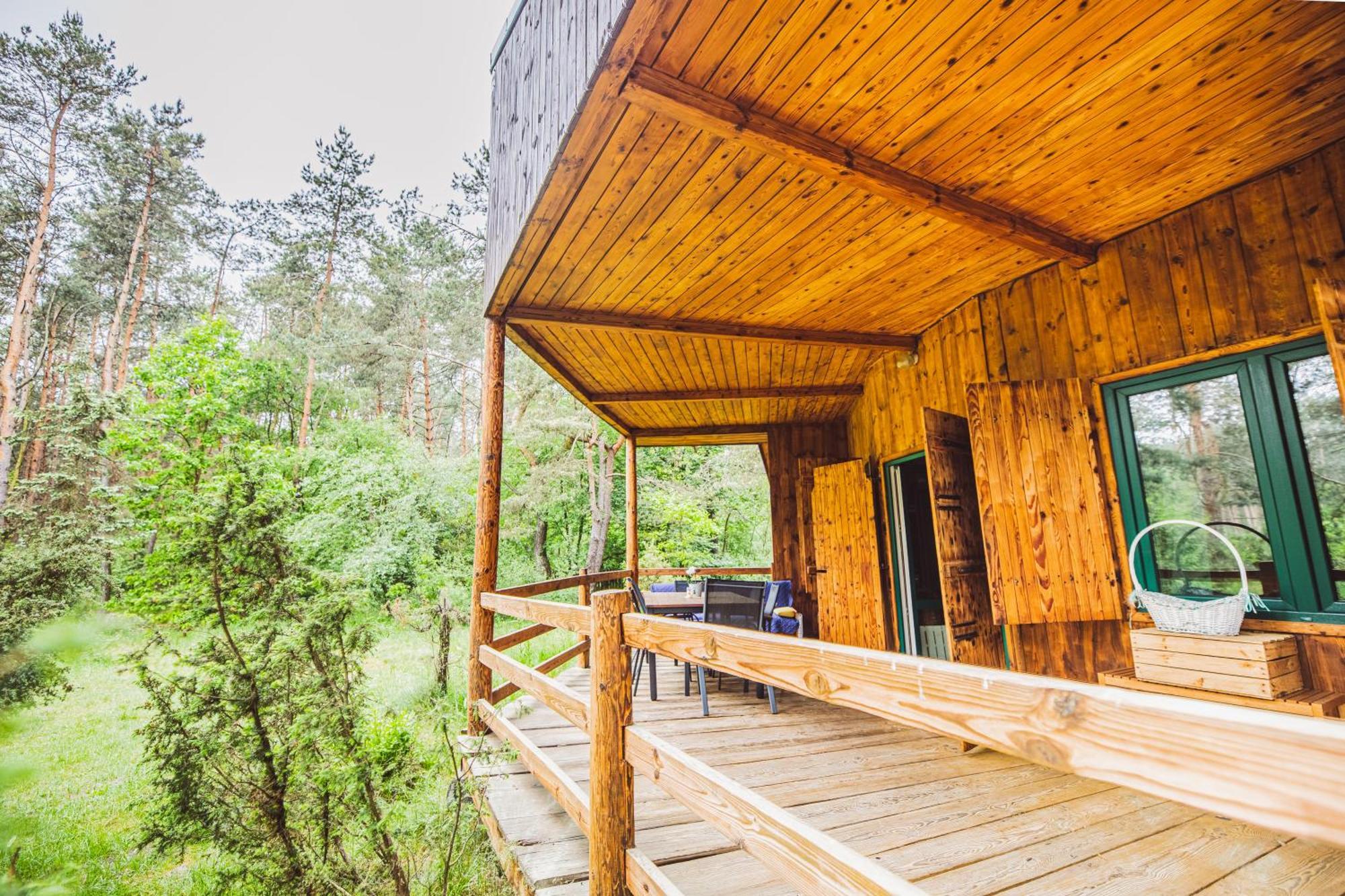 Cozy Nature Retreat With Patio Fireplace Garden Maciejowice Exteriör bild
