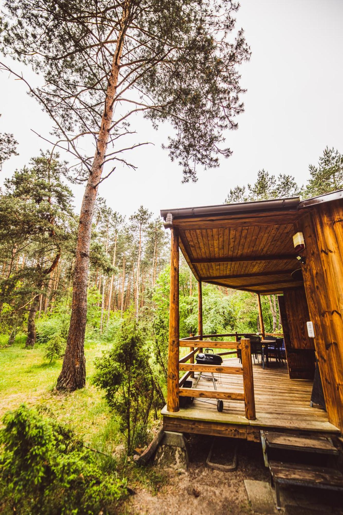 Cozy Nature Retreat With Patio Fireplace Garden Maciejowice Exteriör bild
