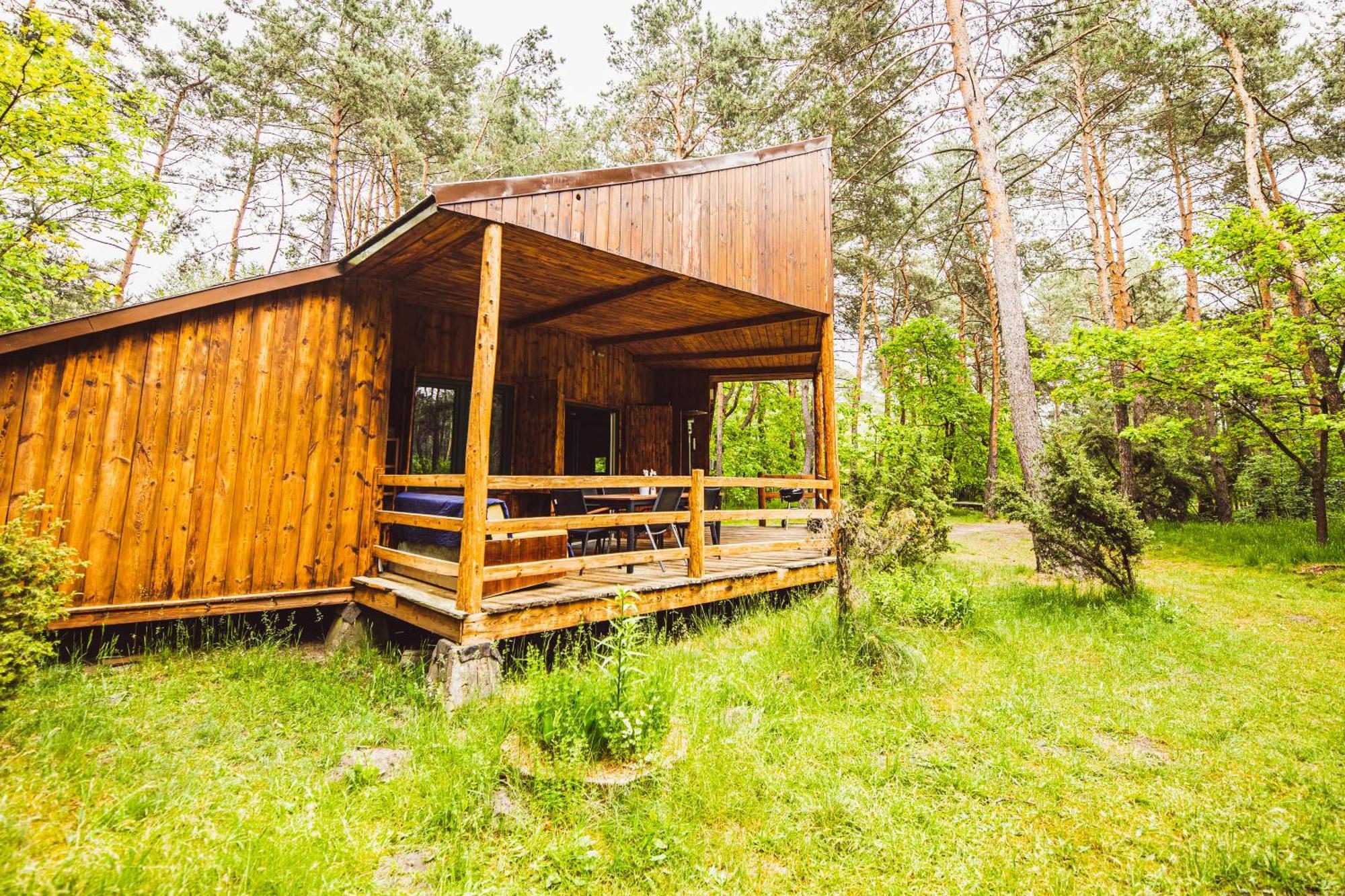 Cozy Nature Retreat With Patio Fireplace Garden Maciejowice Exteriör bild