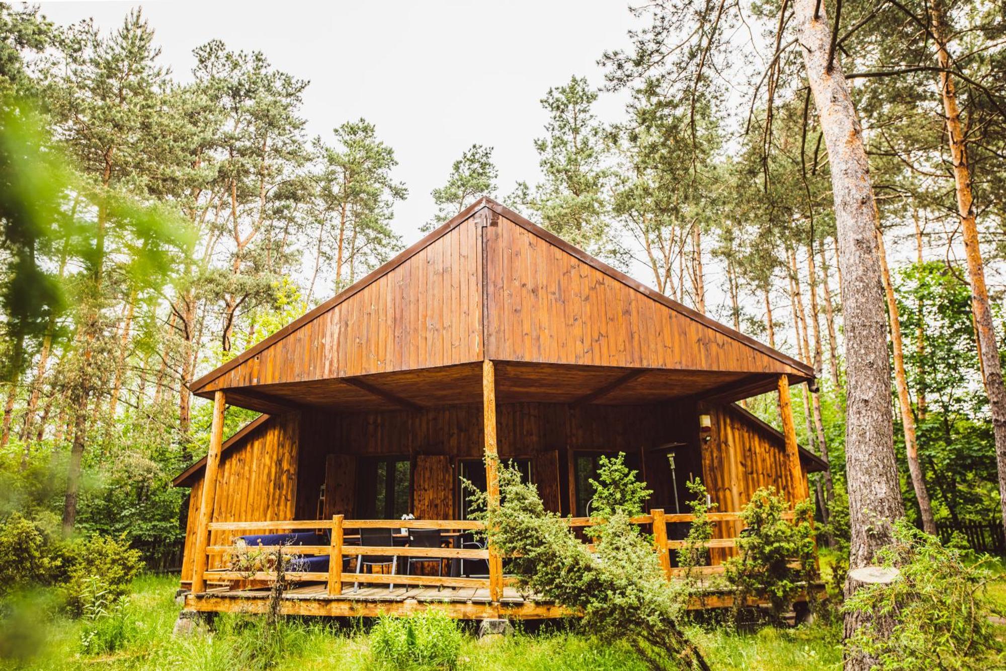Cozy Nature Retreat With Patio Fireplace Garden Maciejowice Exteriör bild